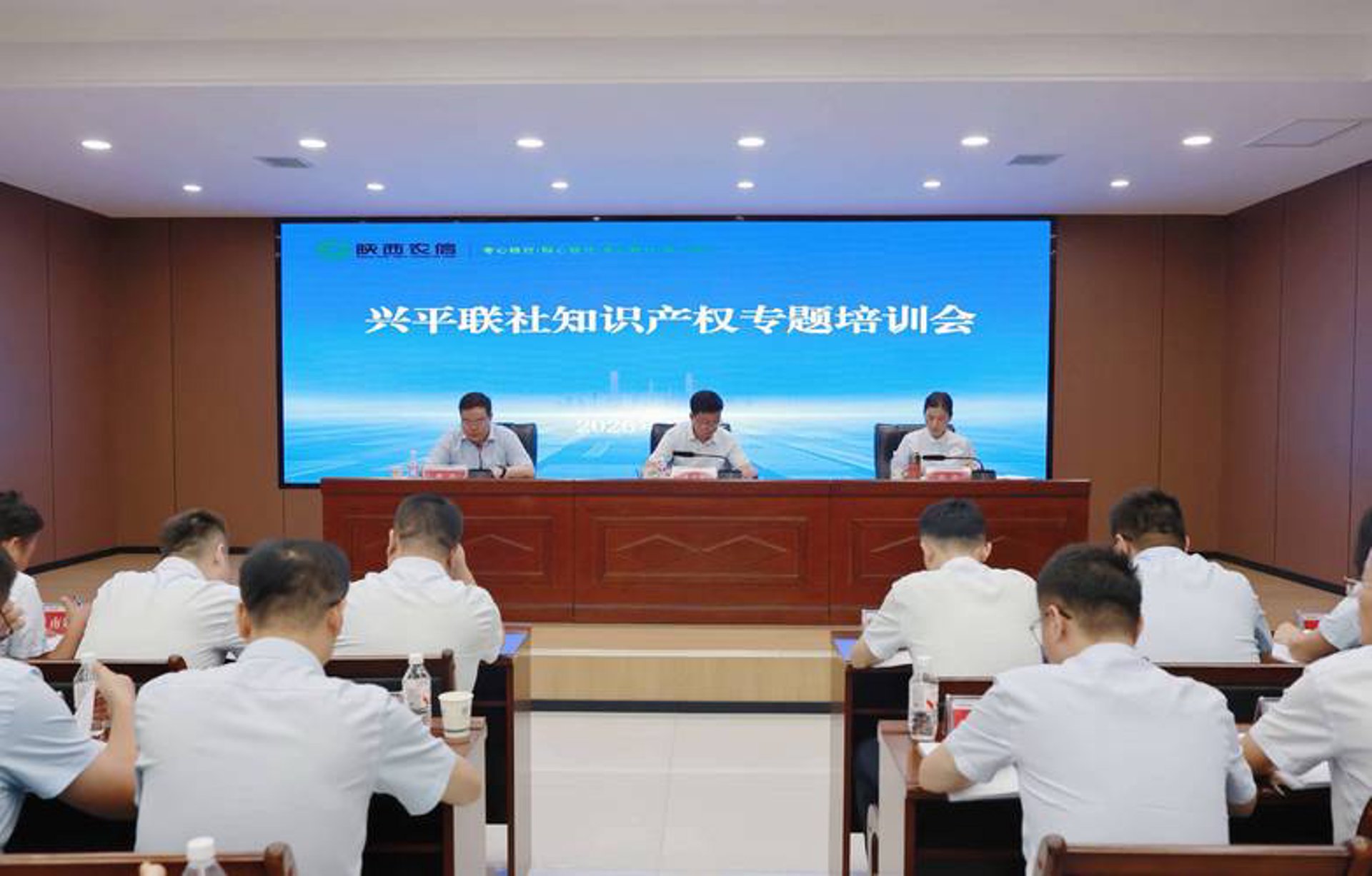 律点知识产权